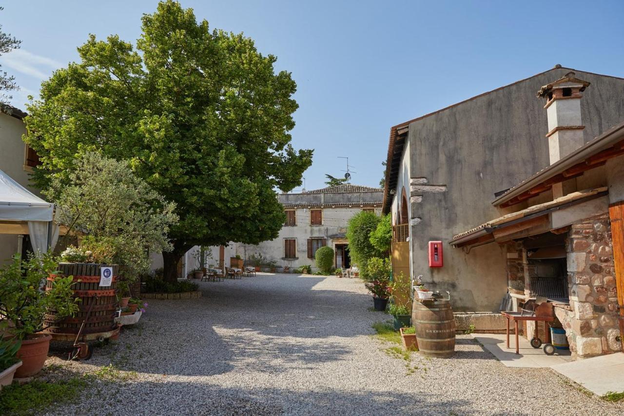 Agriturismo Della Pieve باردولينو المظهر الخارجي الصورة